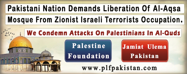 plf_protest_banner